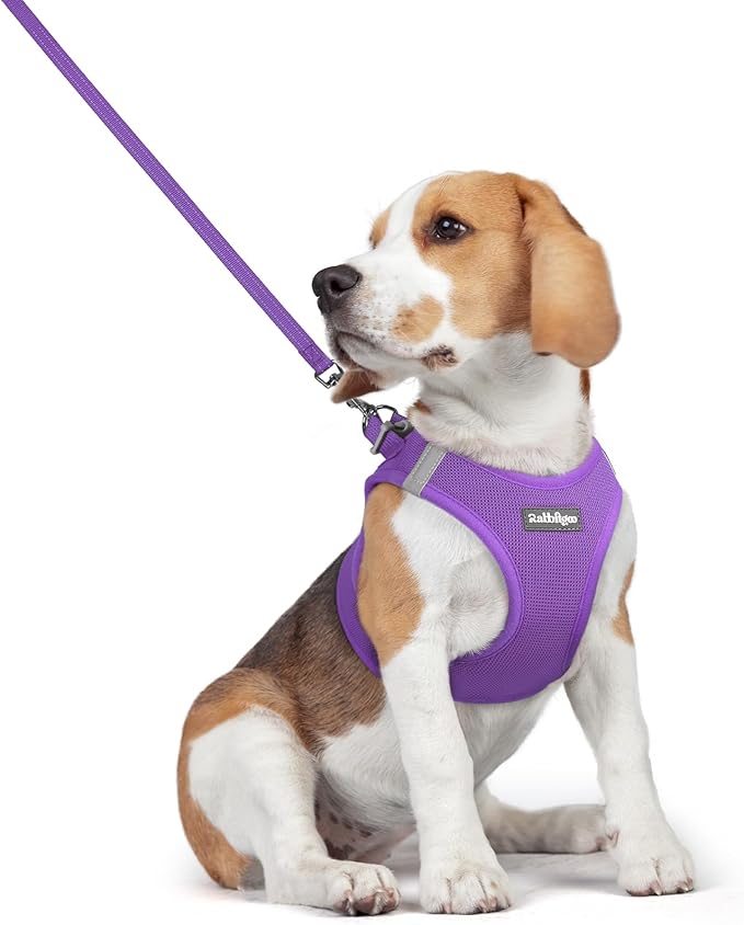 rabbitgoo Dog Harness Small Medium Sized and Leash Set, Step in Soft Light Puppy Vest, Breathable Mesh Pet Harness, Reflective for Safe Outdoor Walking, Purple L-Mewly Pet