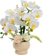 LESING Artificial Orchid Flower with Vase, White Orchid Bonsai Faux Orchid Phalaenopsis Plant Pot Arrangements for Home Decoration (White,Beige Vase)