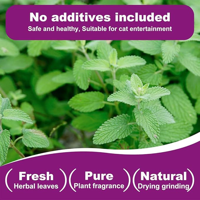 Organic Natural Catnip Cattle Grass Mint Taste Funny Cat Toy New Cat Toy Interactive Cat Toys Pet Supplies-Mewly Pet