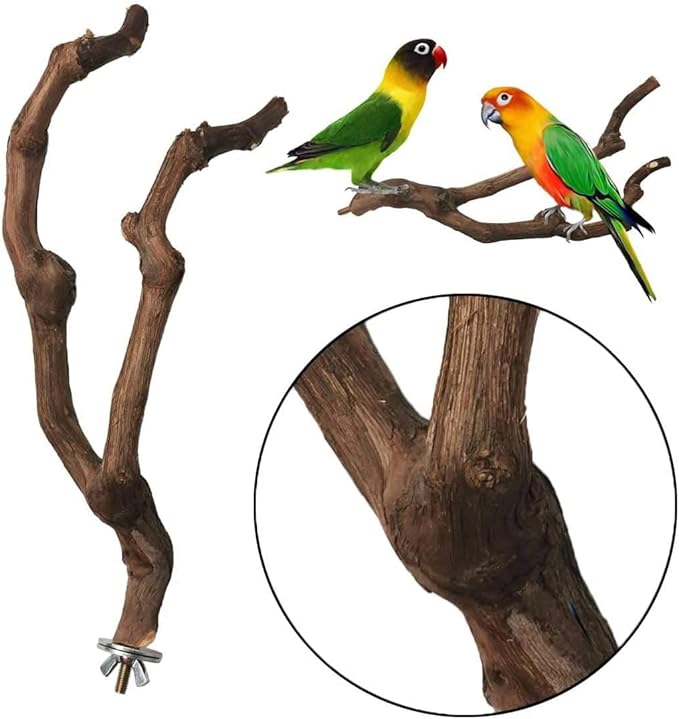 kathson Natural Parrot Perch Bird Stand Pole Wild Grape Stick Paw Grinding Fork Parakeet Climbing Standing Branches Toy Chewable Cage Accessories for Small Budgies Cockatiels Lovebirds 4PCS-Mewly Pet