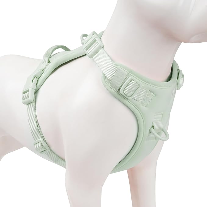 No Pull Dog Harness, Puppy Vest with Front Clip for Small Medium Large Sized Dog(Light Green,XL)-Mewly Pet