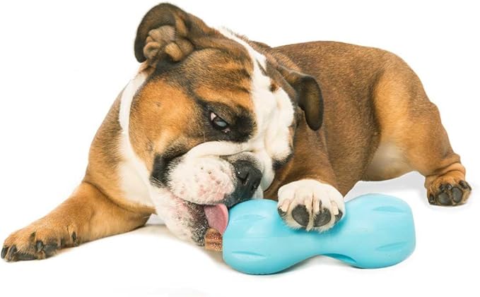 West Paw Zogoflex Qwizl Interactive Treat Dispensing Dog Puzzle Treat Toy for Dogs, 100% Guaranteed Tough, It Floats!, Made in USA, Large, Aqua Blue-Mewly Pet