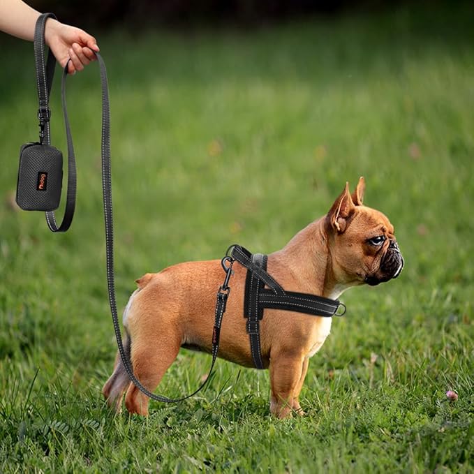 Didog No Pull Dog Harness with Soft Mesh Padded,Reflective & Quick Fit Light Weight Dog Strap Vest Harness,Easy for Walking Training (M:Chest 21-26", Mesh-Black)-Mewly Pet