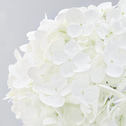MARTINE MALL 2Pcs 21in Hydrangea Artificial Flowers, Latex Real Touch Hydrangeas Lifelike Large Hydrangea Flowers for Home Decor Party Arrangements Wedding Bouquets Centerpieces (White)
