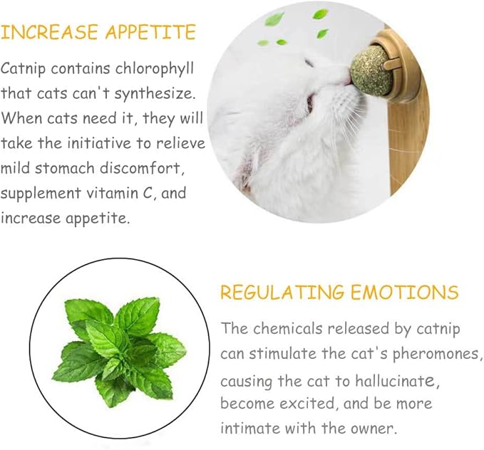 Oncpcare 4 Pack Catnip Balls, Natural Mint Leaf Catnip Ball for Cats Wall Cat Nip Cat Treats Magic Toy for Kitten Kitty Playing Chewing-Mewly Pet