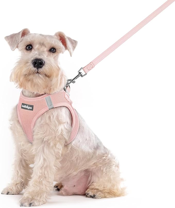 rabbitgoo Dog Harness Small Sized and Leash Set, Step in Soft Light Puppy Vest, Breathable Mesh Pet Harness, Reflective for Outdoor Safe Walking, Pink XXL-Mewly Pet