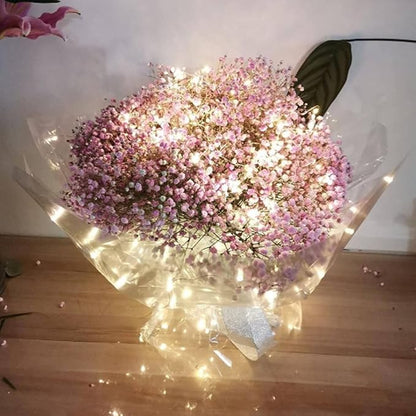 String Lights,LED Copper Wire Lights, Each Set 33ft/10M 100LEDs and 4 Remote Control.AA Battery Powered,Decor Rope Lights for Holiday,Wedding, Parties.(White)