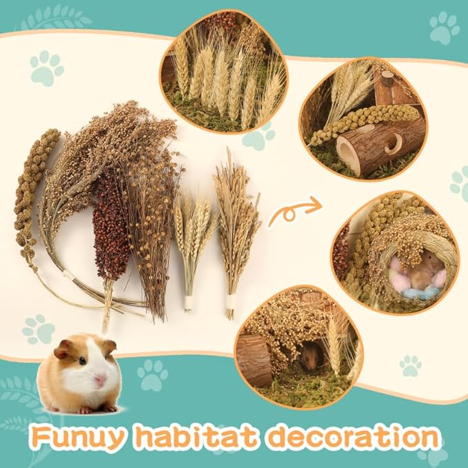 Hamster Spray Set - Natural Snack Grains & Chew Toys for Cage Decoration Accessories, Soft Bedding for Dwarf Syrian Hamsters, Gerbils, Mice & Small Pets-Mewly Pet