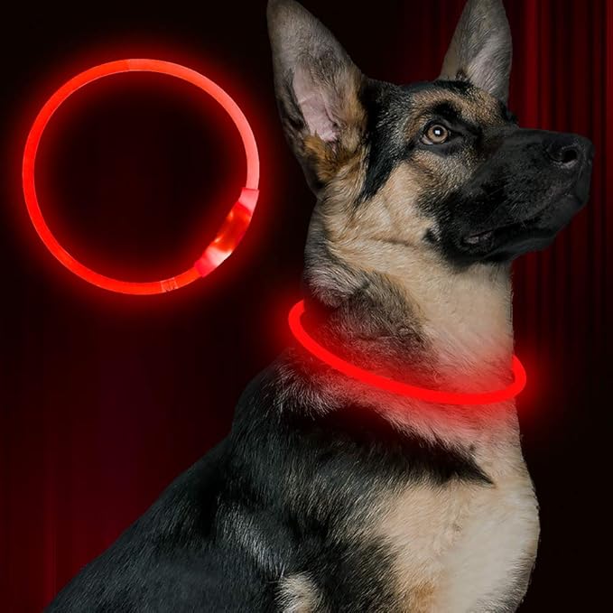 Led Dog Collar, BSEEN USB Rechargeable Flash Dog Necklace Light, Pet Safety Collar Makes Your Beloved Dogs Be Seen at Night for Small Medium Large Dogs(Red)-Mewly Pet