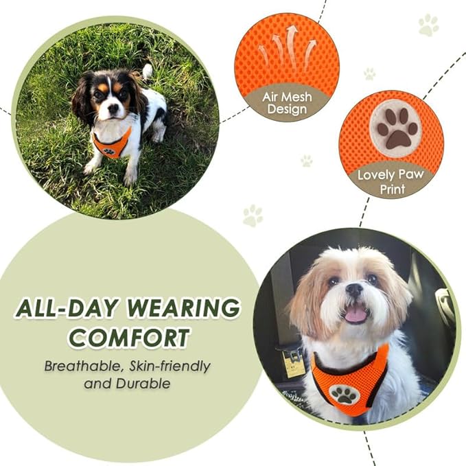 SlowTon Dog Seat Belt Harness for Car, Dog Car Harness Adjustable Mesh Breathable & Dog Seatbelt Safety Tether with Elastic Bungee for Small Medium Large Pets(Orange, Double Clip, XXS)-Mewly Pet