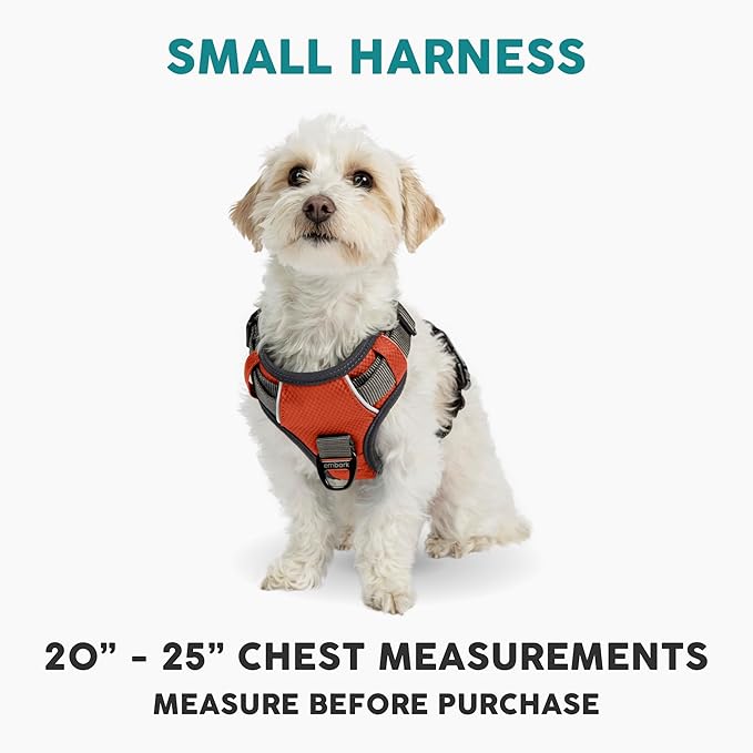 Embark Adventure Dog Harness, Reflective Trim No Pull Dog Harnesses for Small Sized Dogs - Military Grade Nylon, Front Clip with Gel Lined Handle.-Mewly Pet