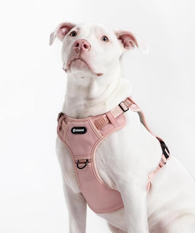 2025 New Edition, Fei & Eve MagEase Dog Harness - 3-Second Magnetic Buckles | 3-Point No-Pull Control | Heavy-Duty 900D Nylon | Dual Safety Handles | Breathable Mesh | Adjustable Fit | X-Large, Pink-Mewly Pet