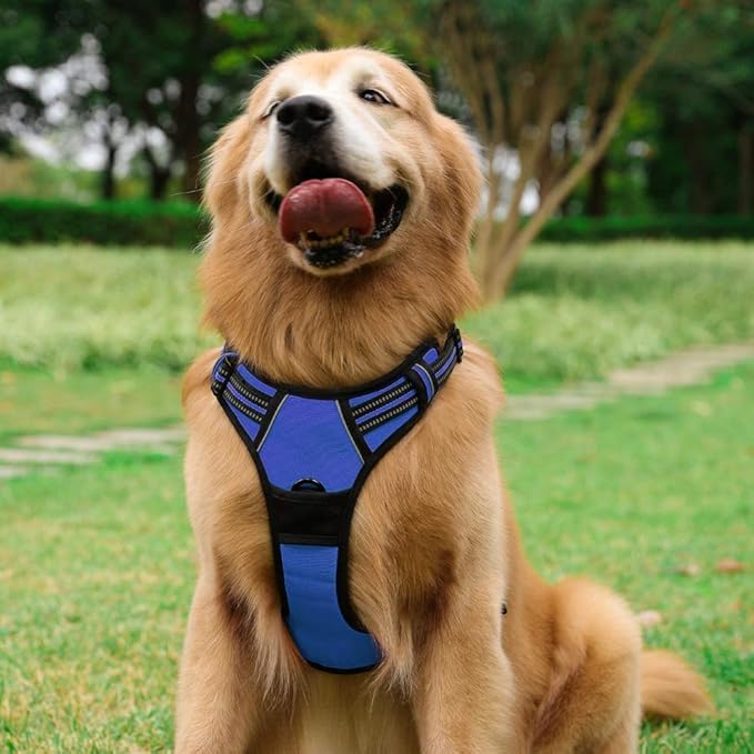 rabbitgoo Dog Harness No Pull with 2 Leash Clips, Adjustable Soft Padded, Reflective Oxford No Choke Pet Vest with Easy Control Handle for Large Dogs, Dazzling Blue, L-Mewly Pet