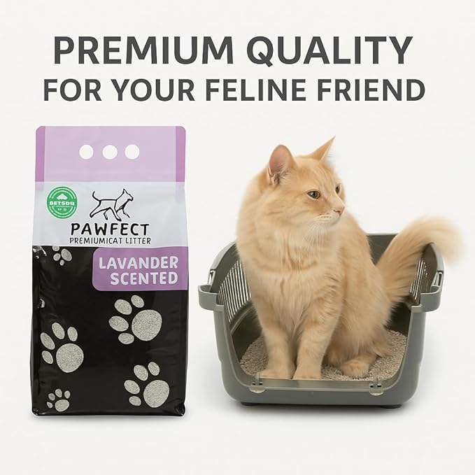 Lavender Scented Clumping Cat Litter – 9.6 lb / 5L, Lightweight, Dust-Free, Strong Odor Control, Turkish White Bentonite-Mewly Pet