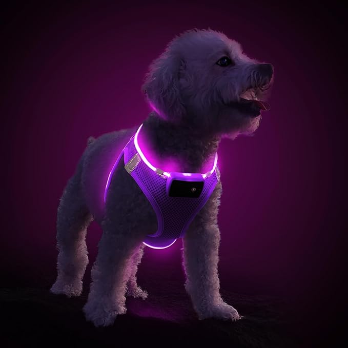 PceoTllar Light Up Dog Harness, LED No Pull Reflective Dog Harness, Flashing Lighted for Night Walking - Small/Medium, (Purple,L)-Mewly Pet