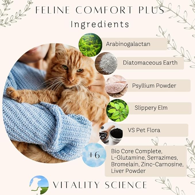 Feline Comfort Plus, Extra Drying Digestive Aid, GI Support Helps with Vomiting and Diarrhea, 100% Additive Free (Liver, Large)-Mewly Pet