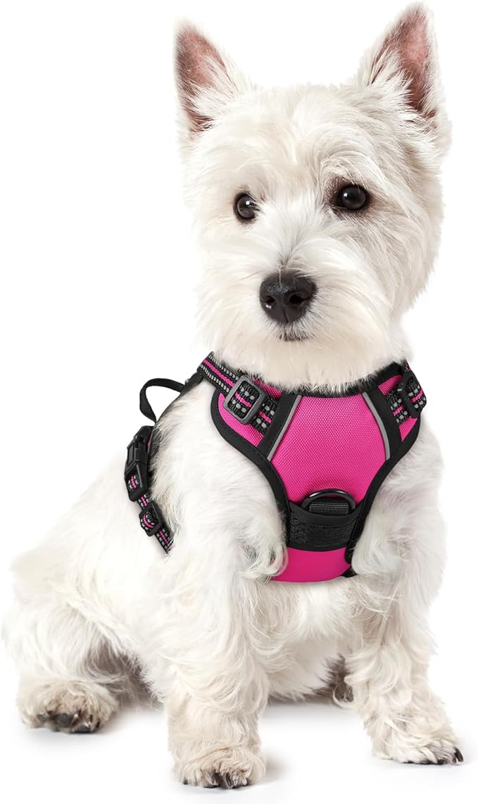 rabbitgoo Dog Harness No Pull with 2 Leash Clips, Adjustable Soft Padded, Reflective Oxford No Choke Pet Vest with Easy Control Handle for Puppy, Hot Pink, XS-Mewly Pet