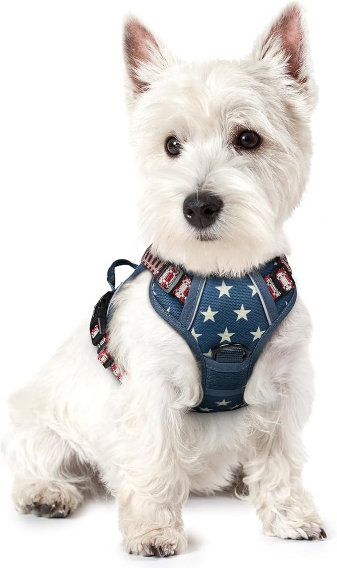 rabbitgoo Dog Harness No Pull with 2 Leash Clips, Adjustable Soft Padded, Reflective Oxford No Choke Pet Vest with Easy Control Handle for Large Dogs, Blue Star, XS-Mewly Pet