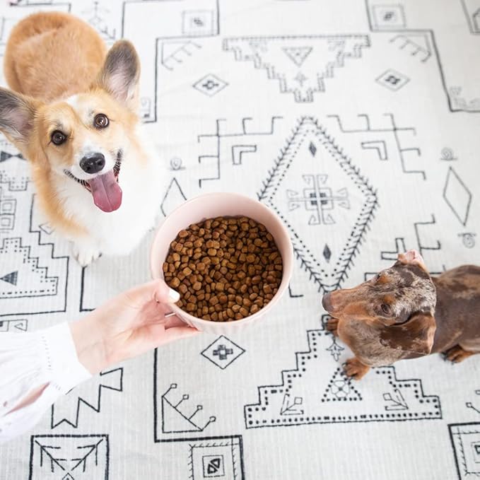 Waggo Ripple Ceramic Dog Bowl for Medium and Large Breeds - Modern with Matte Finish, Heavyweight Durable Pet Food and Water Dish Crock, Dishwasher Safe (Medium, Cloud)-Mewly Pet