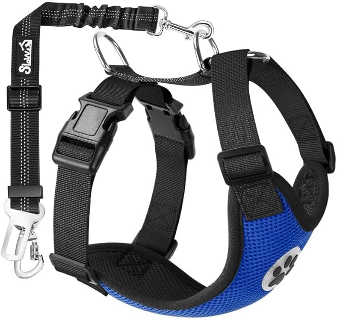 SlowTon Dog Seat Belt Harness for Car, Dog Car Harness Adjustable Mesh Breathable & Dog Seatbelt Safety Tether with Elastic Bungee for Small Medium Large Pets(Blue, Double Clip, XXS)-Mewly Pet