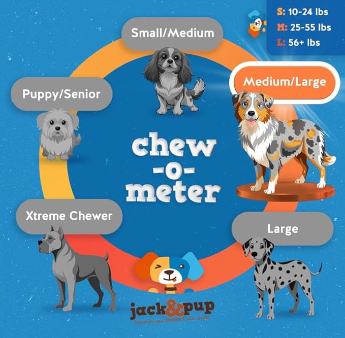 Jack&Pup 12 Inch Bully Sticks for Large Dogs | Thick Odor Free Bully Sticks (3 Pack) Long Lasting Bully Sticks for Dogs-Mewly Pet