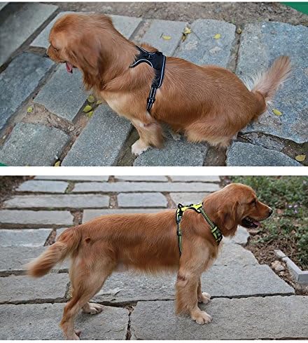Truelove No Pull Dog Harness with Easy Control Handle and 2 Leash Attachments,Reflective Adjustable Pet Vest-Mewly Pet