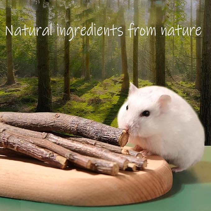 Guinea Pig Toys Apple Sticks, Tissimo Grass Sticks, Sweet Bamboo,Types of Combined Chew Toys,Pertain Chinchilla Squirrel Gerbil Hamster Squirrel Guinea Pigs-Mewly Pet