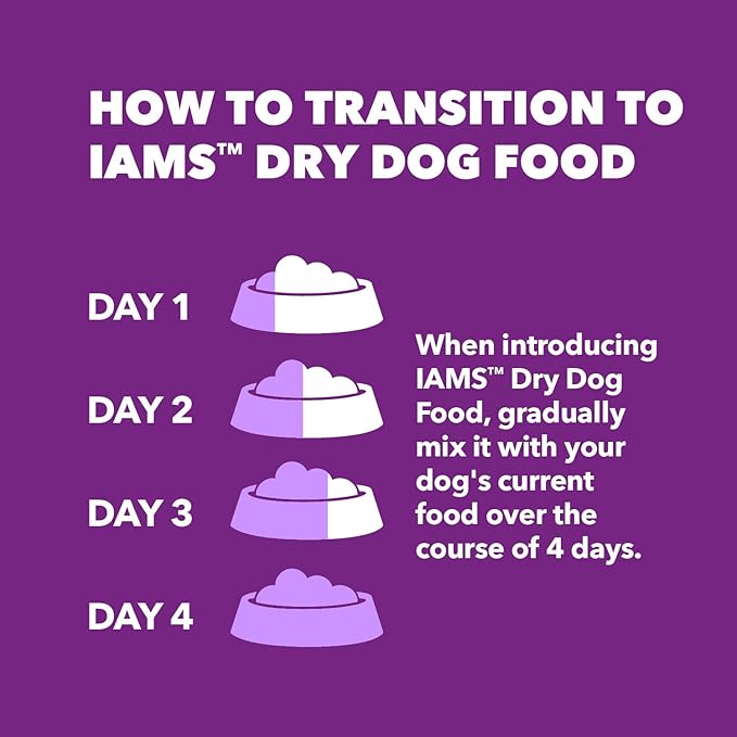 IAMS Advanced Health Skin & Coat Adult Dry Dog Food Chicken and Salmon Recipe, 6 lb. Bag-Mewly Pet
