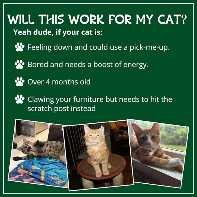 Organic Catnip by Cat Kush, Safe Premium Blend Perfect for Cats, Instilled with Maximized Potency your Kitty is Guaranteed to Go Crazy for! (1 Cup)-Mewly Pet