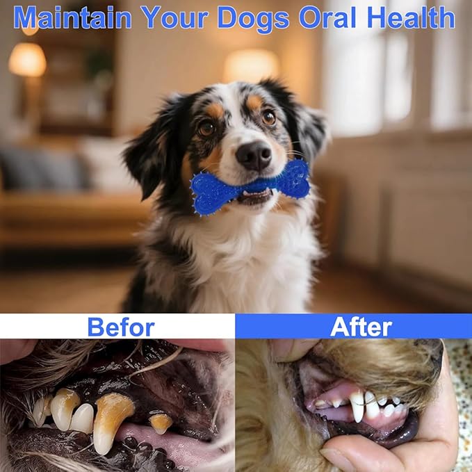 Dog Toys 15 Pack for Teeth Cleaning and Fun, Puppy Teething Chew Toys Interactive Rope Squeaky Treat Balls & Rubber Tous Bulk– Variety Dog Gifts Set Reduce Anxiety & Save Furniture-Mewly Pet