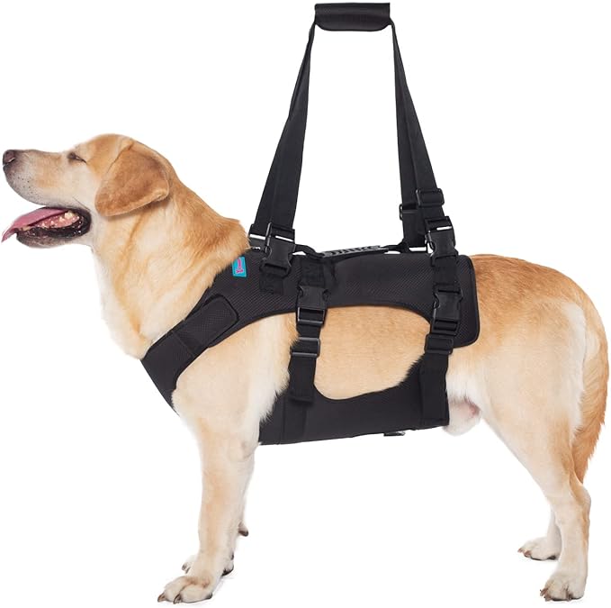 Dog Lift Harness, Rehabilitation Lifts Vest for Dogs, Support & Recovery Sling, Adjustable Breathable Lifting Straps for Old, Joint Injuries, Arthritis, Paralysis Dogs Walk (L, Black)-Mewly Pet