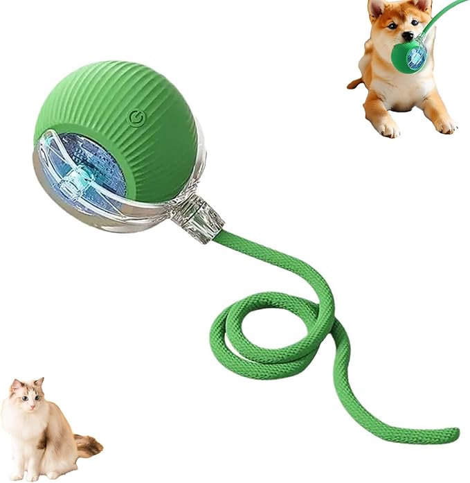 Interactive Cat Toy Ball for Indoor Cats - 3-Speed Smart Rolling Ball with Flashing Lights, USB Rechargeable Automatic Motion Kitten Toys for Bored Adult Cats & Playful Kittens-Mewly Pet
