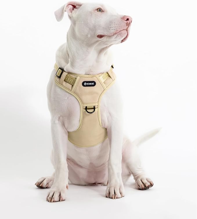 2025 New Edition, Fei & Eve MagEase Dog Harness - 3-Second Magnetic Buckles | 3-Point No-Pull Control | Heavy-Duty 900D Nylon | Dual Safety Handles | Breathable Mesh | Adjustable Fit,X-Large,Champagne-Mewly Pet