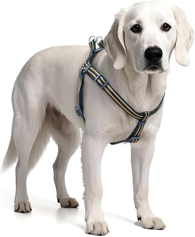 Stripe Step in Dog Harness for Small Dogs, Freedom Nylon Dog Halter Vests, Lightweight and Escape Proof Puppy Harness, Quick Fits for Small Medium and Large Dogs, Blue L-Mewly Pet