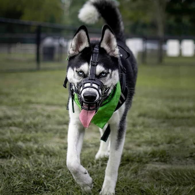 BARKLESS Dog Muzzle, Soft Basket Silicone Muzzle for Dogs to Prevent Biting and Chewing, Breathable Cage Mouth Cover for Training, Allows Drinking and Panting, Used with Collar-Mewly Pet