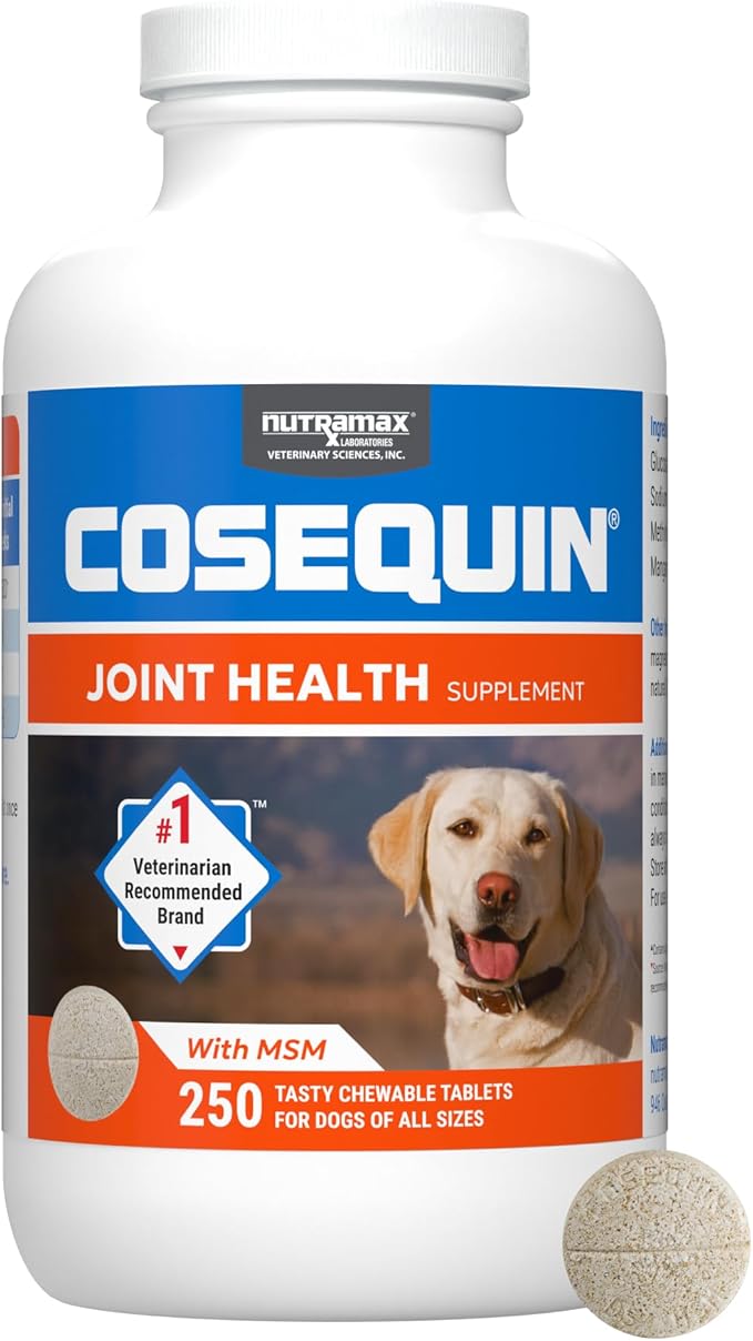 Nutramax Cosequin for Dogs Joint Health Supplement, Contains Glucosamine for Dogs, Plus Chondroitin and MSM, Supports Healthy Joints, Chewable Tablets, 250 Count-Mewly Pet
