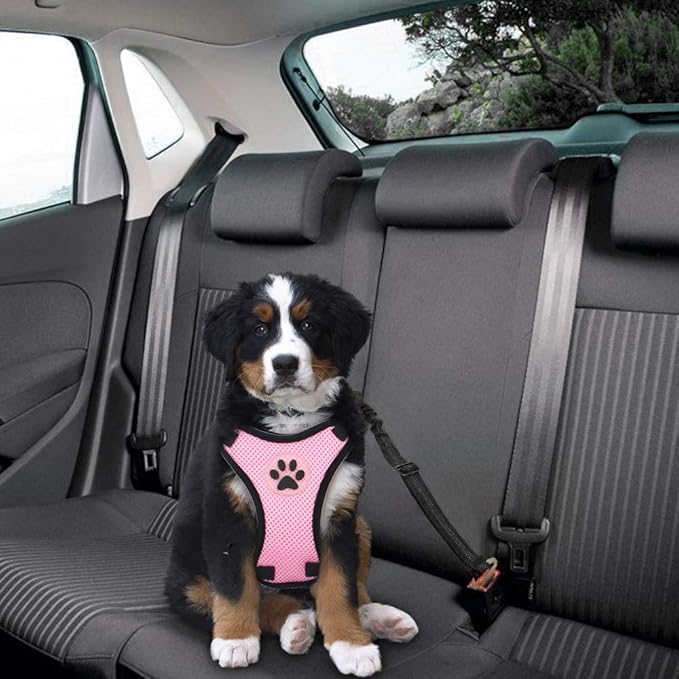 SlowTon Dog Seat Belt Harness for Car, Dog Car Harness Adjustable Mesh Breathable & Dog Seatbelt Safety Tether with Elastic Bungee for Small Medium Large Pets(Pink, Single Clip, S)-Mewly Pet
