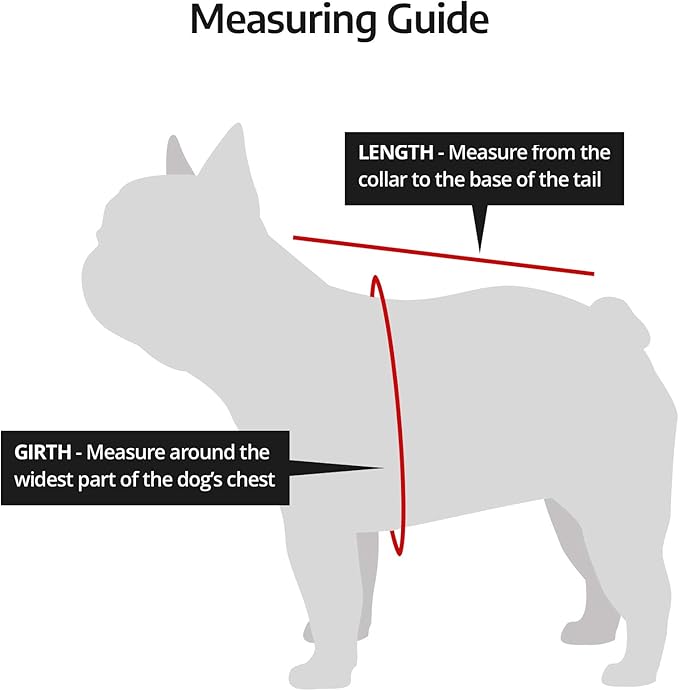 K9 Sport Sack Air 2 - Small, Light Grey - Ideal for Dogs with 13-16” Back Length - Durable, Breathable Backpack-Style Carrier - Perfect for Walks, Short Hikes & Public Transportation-Mewly Pet