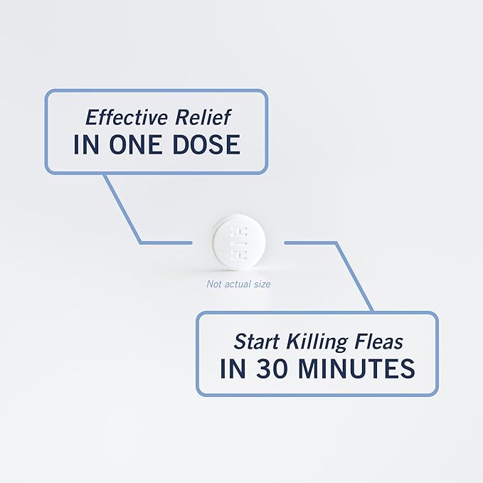 PetArmor CAPACTION (nitenpyram) Oral Flea Treatment for Dogs, Fast Acting Tablets Start Killing Fleas in 30 Minutes, Dogs Over 25 lbs, 6 Doses-Mewly Pet
