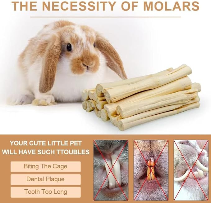 300g Guinea Pig & Rabbit Chew Toys with Apple & Timothy Sticks - Prevent Overgrown Teeth with Sweet Bamboo Treats - Ideal Rabbit Treats Included!-Mewly Pet