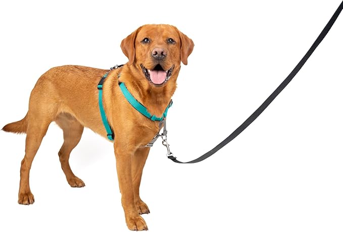 PetSafe 3 in 1 Dog Harness - No Pull Solution for Dogs - Reflective Dog Harness - Front D-Ring Clip Helps Stop Pulling - Comfortable Padded Straps - Top Handle Enhances Control - Teal - Large-Mewly Pet