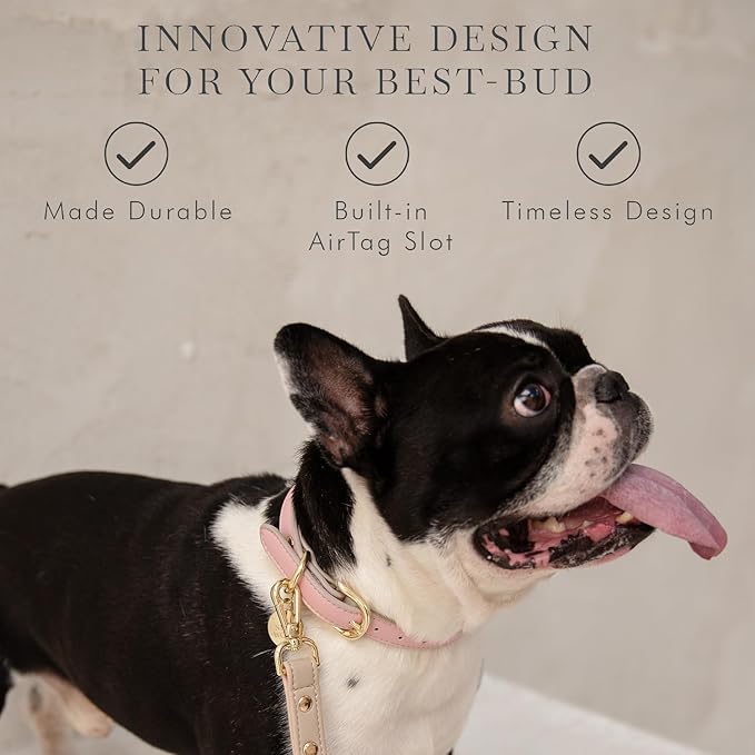 Cupertino Dog Collars, Harnesses & Leashes Made from Vegan Leather with Dog Tracker Device Holder Adjustable Dog Collar (Large, Pink)-Mewly Pet