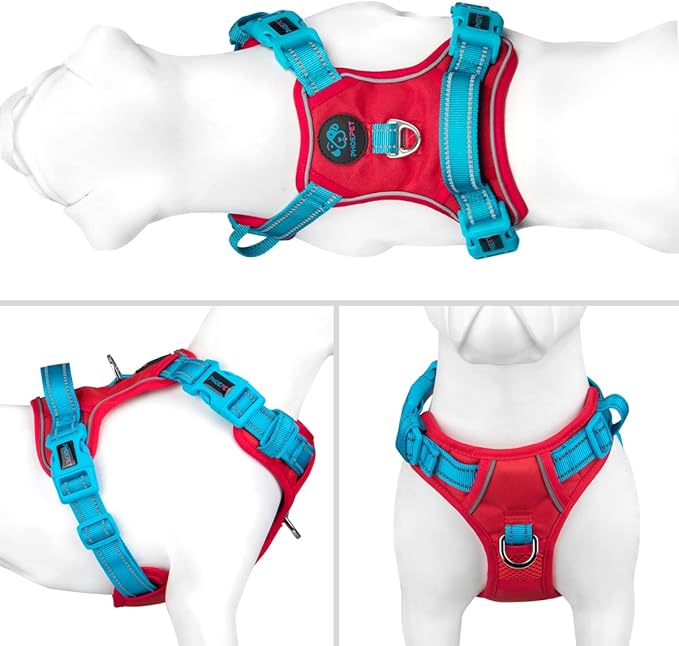 PHOEPET No Pull Dog Harness, Unique Colors Reflective Adjustable Dog Vest, with Soft Training Handle Metal Clips for Small Medium Large Dogs (Red Base & Teal Straps,M)-Mewly Pet