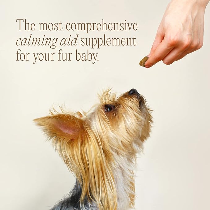 pawTree Chillax - Natural Calming Hemp Chews for Dogs and Cats - Formula to Relieve Stress and Tension; Ease Travel, Separation Anxiety and Soothe Fear - Small Soft Chews (60 Count)-Mewly Pet