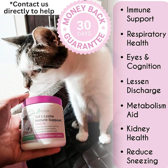 Balanced Breed L-Lysine Cats Immune Support Soft Chews Made in USA Vet-Pharmacist Approved Seasonal Allergy Relief Cat Vitamins Indoor Cats Supplements Krill Oil Asthma Relief Cat Lysine Treats NonGMO-Mewly Pet