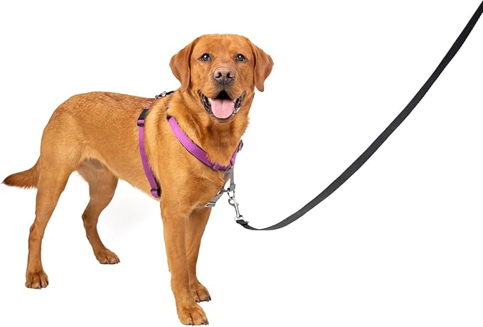 PetSafe 3 in 1 Dog Harness - No Pull Solution for Dogs - Reflective Dog Harness - Front D-Ring Clip Helps Stop Pulling - Comfortable Padded Straps - Top Handle Enhances Control - Plum - Large-Mewly Pet