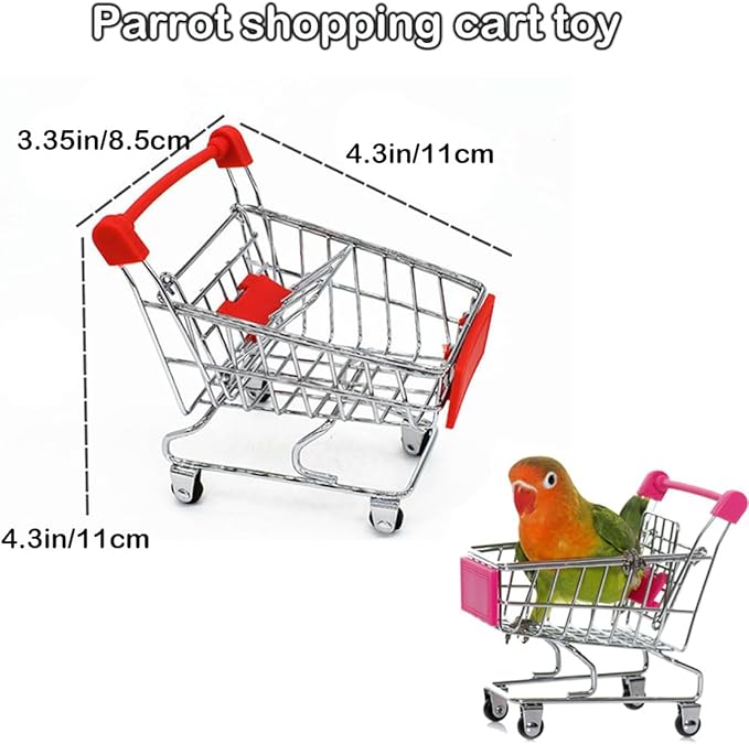 6pcs Interactive Puzzle Toy Set for Small Parrots - Training, Stress Relief, Include Coin Box, Bell Ball, Skateboard & Ferrule Toy for Bird Budgies, Cockatiels, Parakeet etc-Mewly Pet