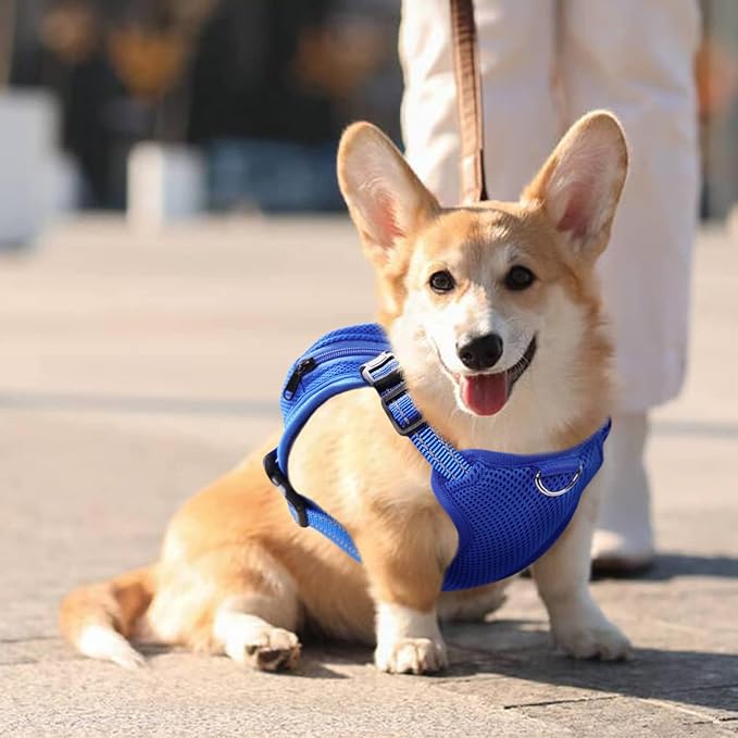 IDOMIK Dog Backpack Harness, No-Pull Dog Backpack with D-Ring for Small Medium Dogs, Cute Self Carrier Backpack for Dogs to Wear, Adjustable Dog Harness Backpack for Traveling Camping Hiking,Shark,S-Mewly Pet