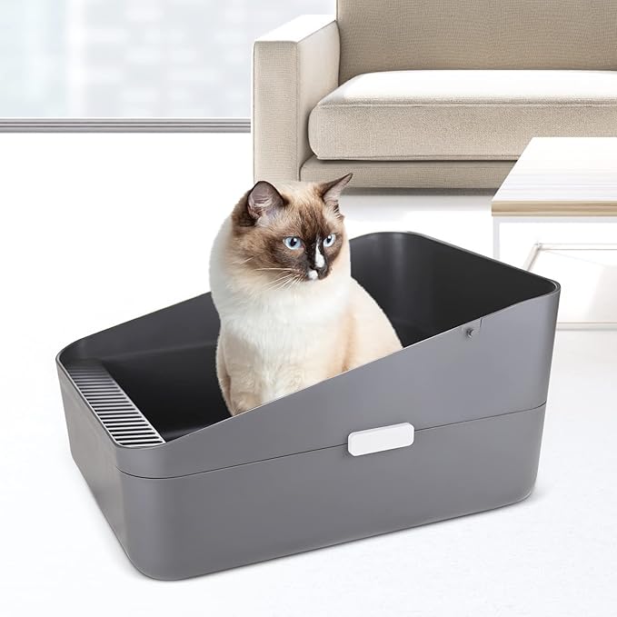 Sfozstra Cats Litter Box Low: Open Sifting Design -Tracking Space Saving - Grey Small Litter Box for Kittens up to 8 lbs-Mewly Pet