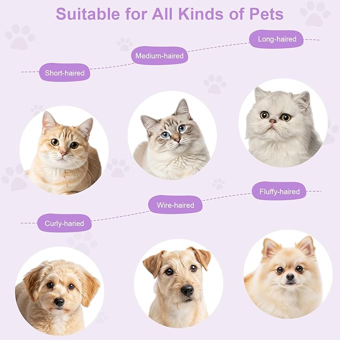 Rechargeable Cat Steam Brush with Mist Spray, 3-in-1 Pet Steam Brush for Long and Short Haired Cats and Small Dogs, Anti-Static, De-Shedding, Detangling, Massage, Purple Cat Design-Mewly Pet